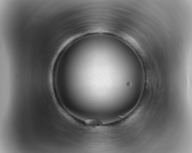 X0000096680942200802121209