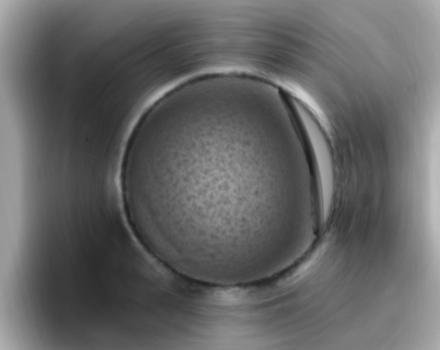 X0000096680943200802121209