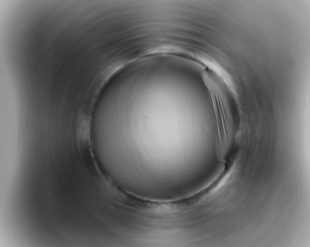 X0000096680945200802121209