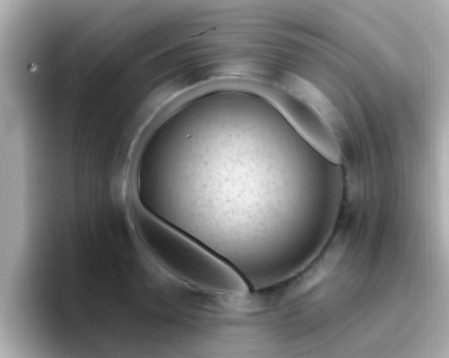 X0000096680946200802121209