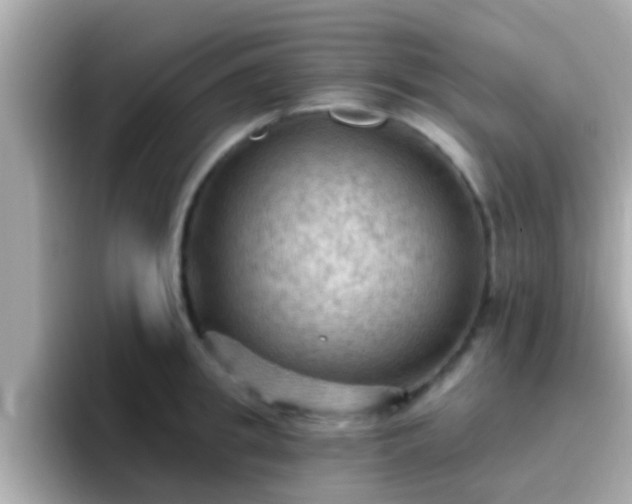 X0000096680949200802121209