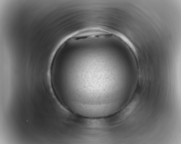 X0000096680951200802121209