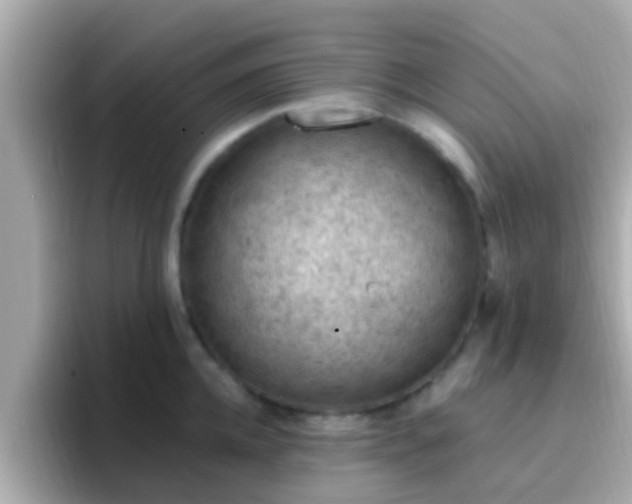 X0000096680952200802121209