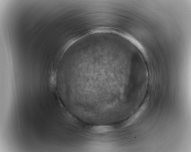 X0000096680953200802121209