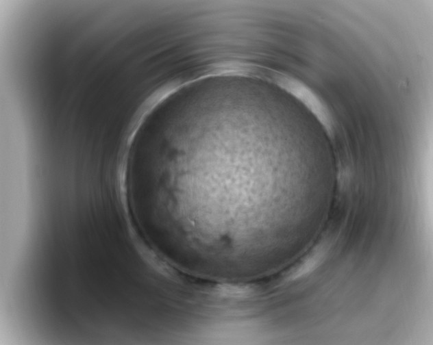 X0000096680954200802121209