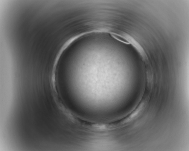 X0000096680956200802121209