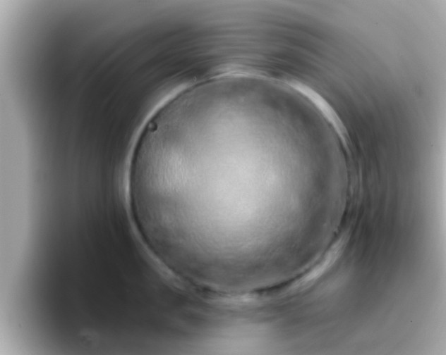 X0000096680957200802121209