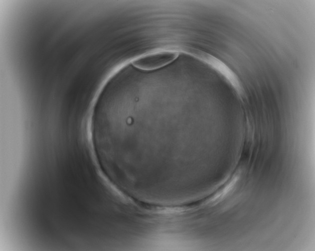 X0000096680958200802121209
