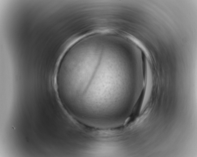 X0000096680959200802121209