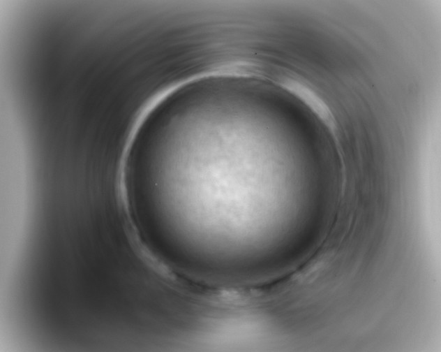 X0000096680960200802121209