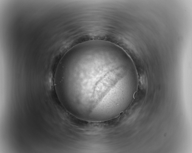 X0000096680963200802121208