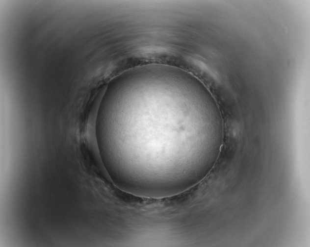 X0000096680965200802121208