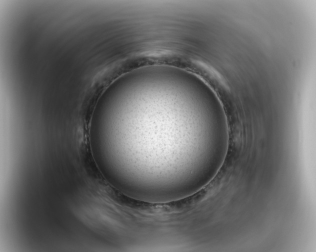 X0000096680966200802121208
