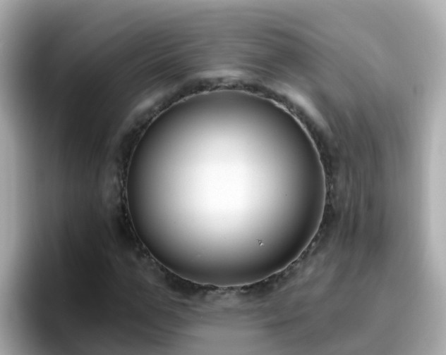 X0000096680967200802121208