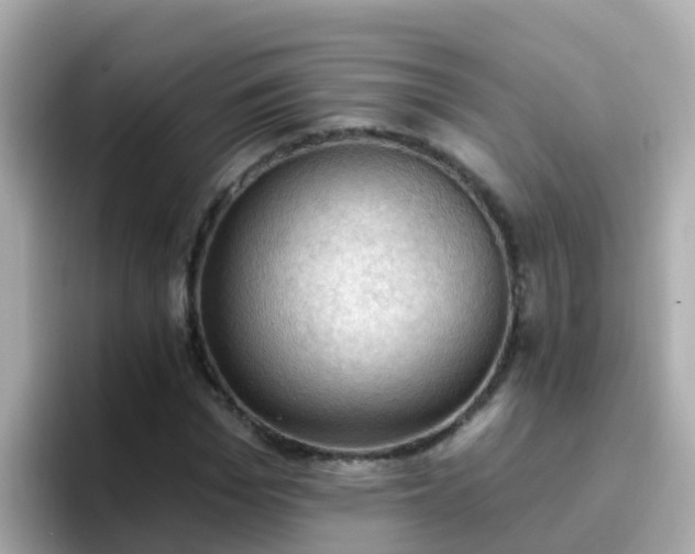 X0000096680969200802121208
