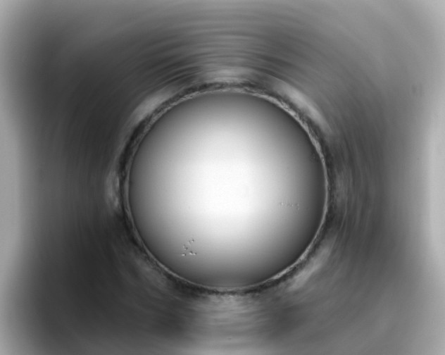 X0000096680970200802121208