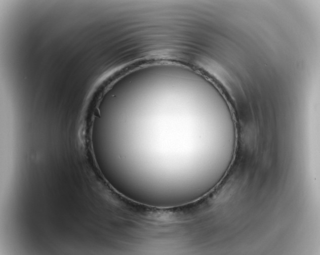 X0000096680971200802121208