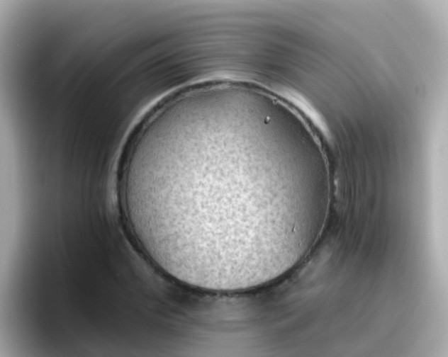 X0000096680972200802121208