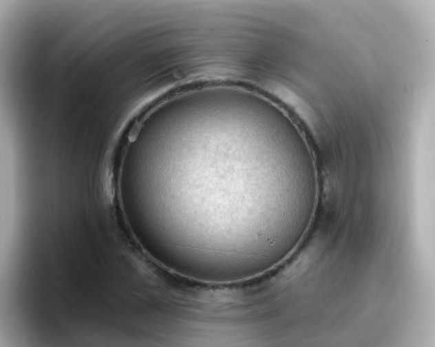X0000096680973200802121208