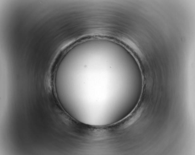 X0000096680974200802121208