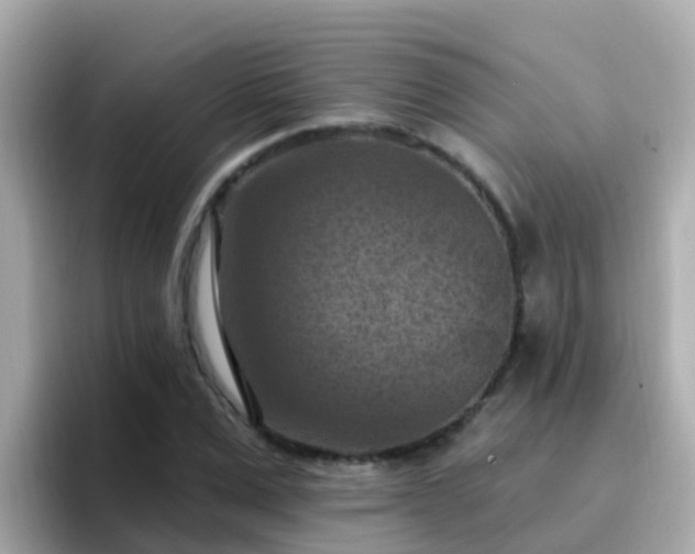 X0000096680975200802121208