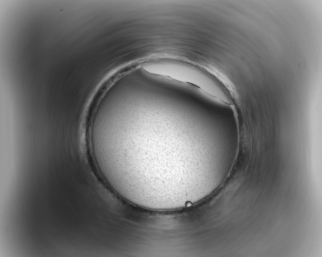 X0000096680976200802121208