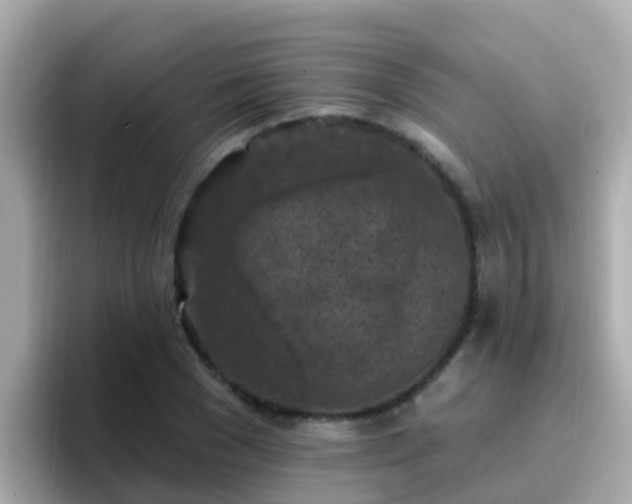 X0000096680977200802121208