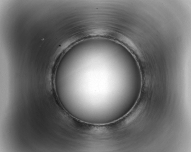 X0000096680978200802121208