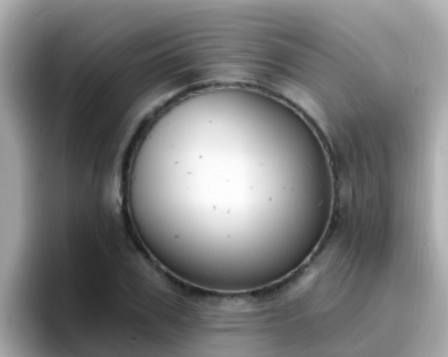 X0000096680979200802121208