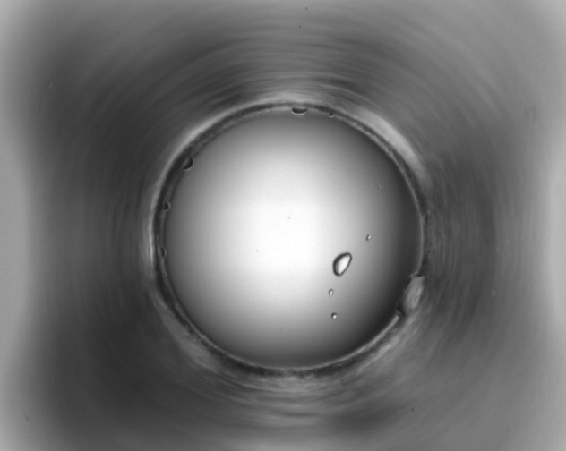 X0000096680980200802121208