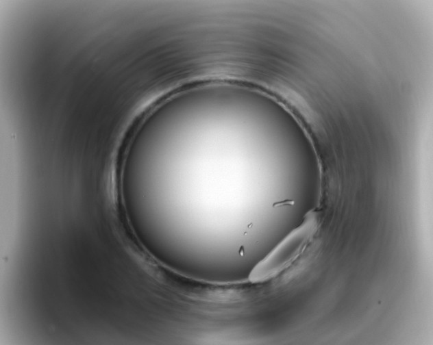 X0000096680982200802121208