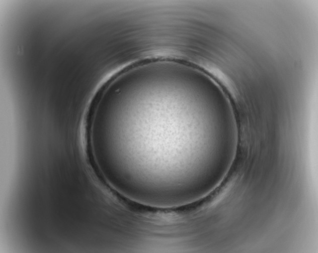 X0000096680983200802121208