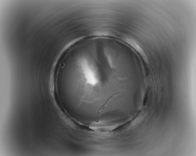 X0000096680984200802121208