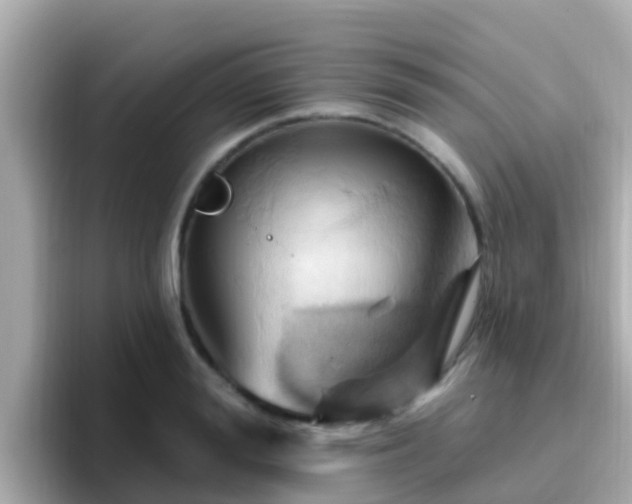 X0000096680988200802121208
