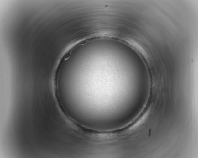 X0000096680989200802121208