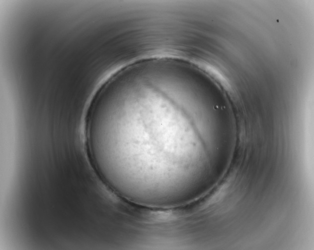 X0000096680990200802121208