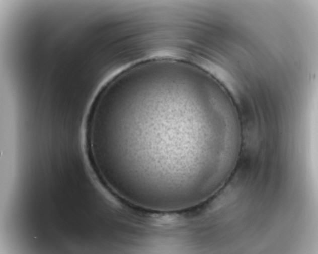 X0000096680991200802121208