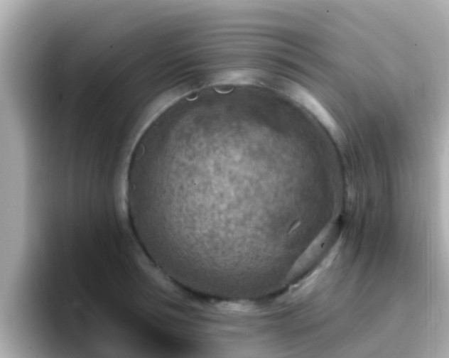 X0000096680994200802121208