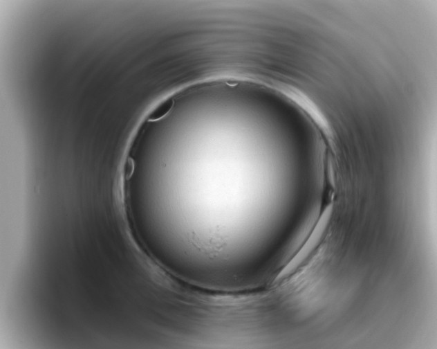 X0000096680996200802121208