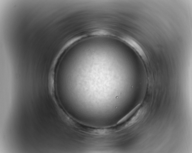 X0000096681000200802121208
