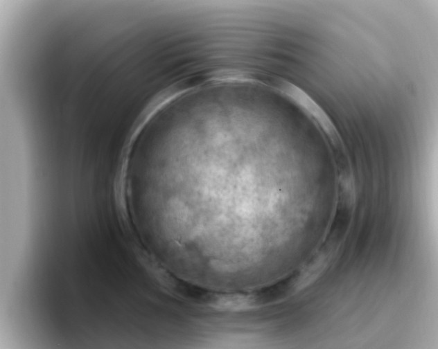 X0000096681002200802121208