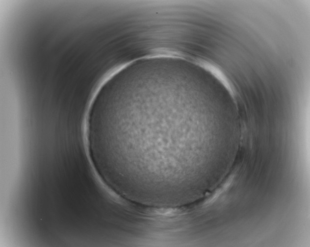 X0000096681003200802121208