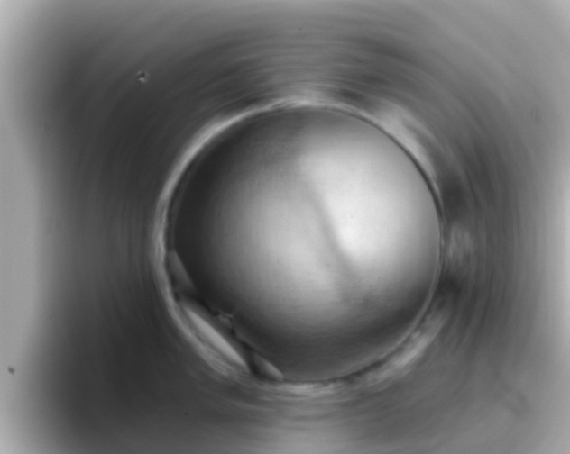 X0000096681005200802121208