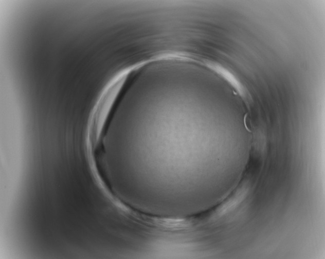 X0000096681007200802121208