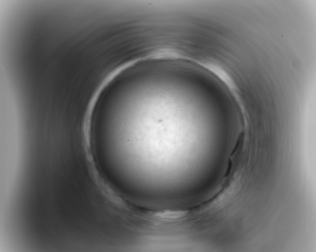 X0000096681008200802121208