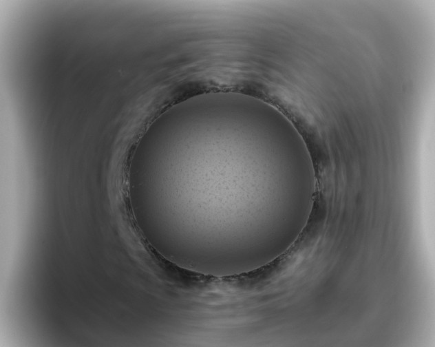 X0000096681009200802121207
