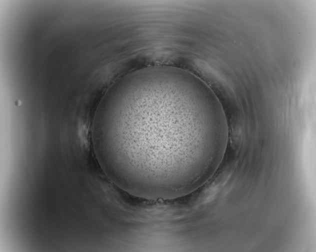 X0000096681010200802121207