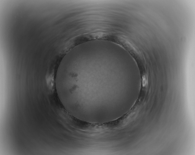 X0000096681011200802121207