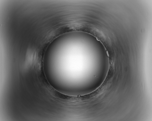 X0000096681012200802121207