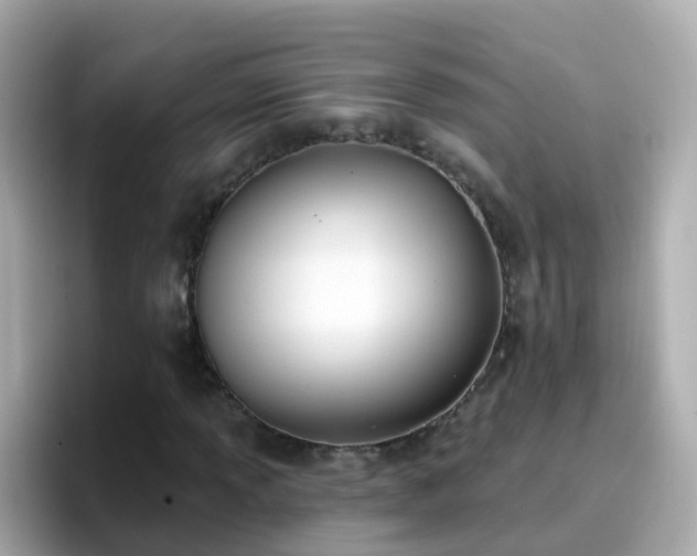 X0000096681013200802121207